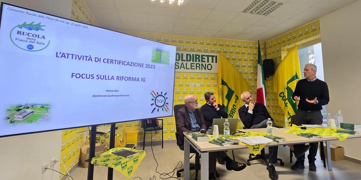 Rucola Igp, nel 2023 il marchio sul 49% delle confezioni 